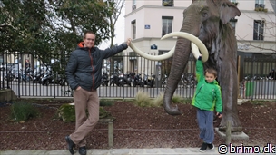 Miniature af billede nummer 3291