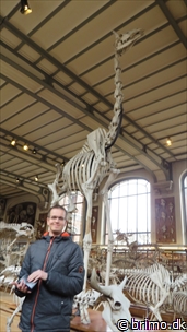 Miniature af billede nummer 3292