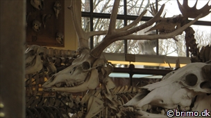 Miniature af billede nummer 3293