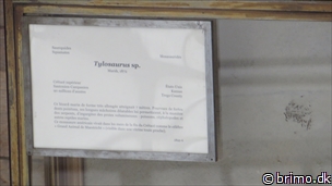 Miniature af billede nummer 3296