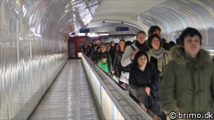 Miniature af billede nummer 3298