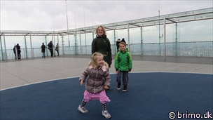 Miniature af billede nummer 3301