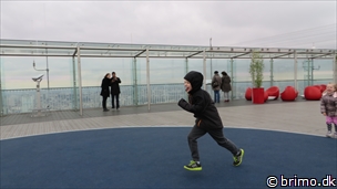 Miniature af billede nummer 3305