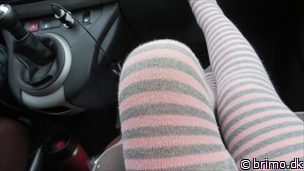 Miniature af billede nummer 3318