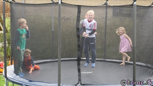 Miniature af billede nummer 3325