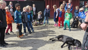 Miniature af billede nummer 3331