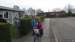 Miniature af billede nummer 3338