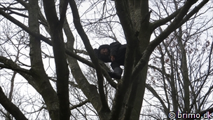 Miniature af billede nummer 3339