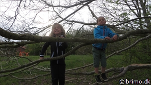 Miniature af billede nummer 3340