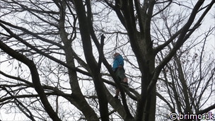 Miniature af billede nummer 3342