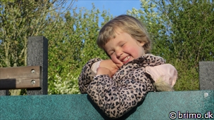 Miniature af billede nummer 3352