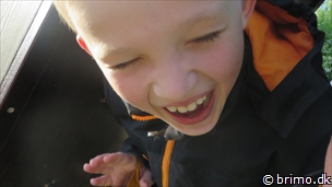 Miniature af billede nummer 3353