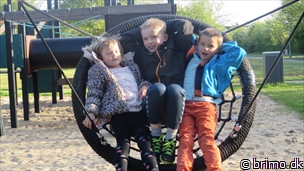 Miniature af billede nummer 3356