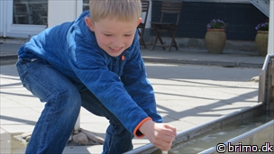 Miniature af billede nummer 3365