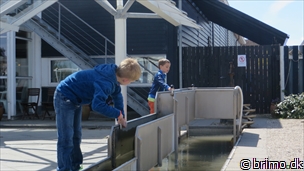 Miniature af billede nummer 3367