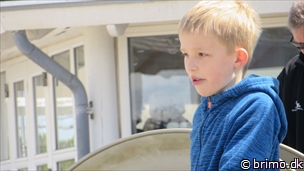 Miniature af billede nummer 3369