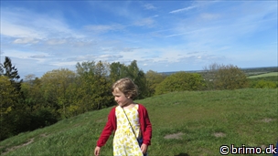 Miniature af billede nummer 3370