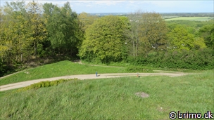 Miniature af billede nummer 3372