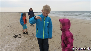 Miniature af billede nummer 3378