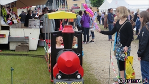 Miniature af billede nummer 3389