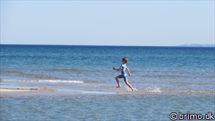 Miniature af billede nummer 3401