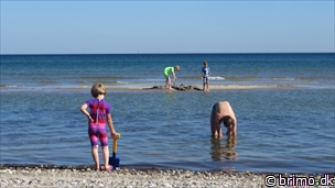 Miniature af billede nummer 3403