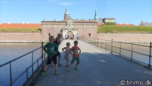 Miniature af billede nummer 3411