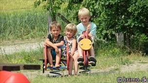 Miniature af billede nummer 3420