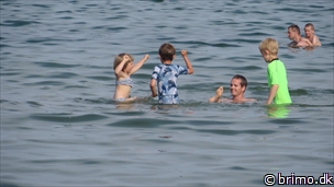 Miniature af billede nummer 3424