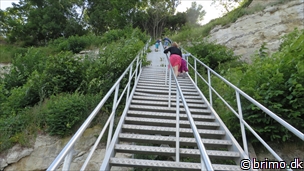 Miniature af billede nummer 3428