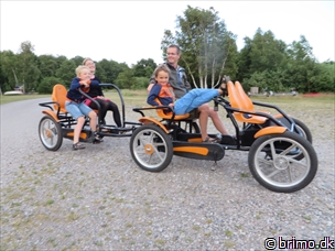 Miniature af billede nummer 3431