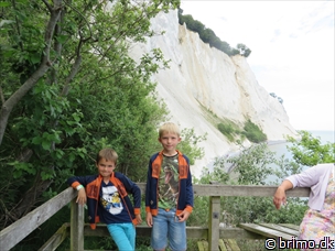 Miniature af billede nummer 3432