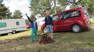 Miniature af billede nummer 3437