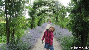 Miniature af billede nummer 3441