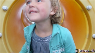 Miniature af billede nummer 3452