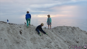 Miniature af billede nummer 3455