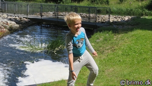 Miniature af billede nummer 3459