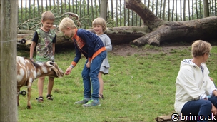 Miniature af billede nummer 3465