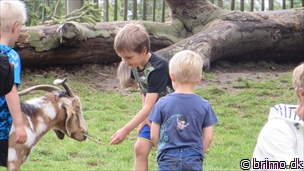 Miniature af billede nummer 3466