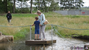 Miniature af billede nummer 3472