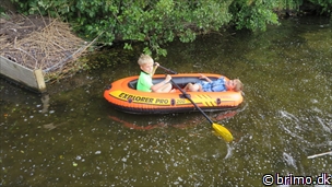 Miniature af billede nummer 3474