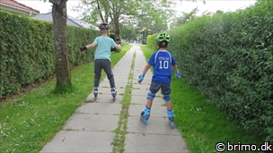 Miniature af billede nummer 3478