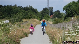 Miniature af billede nummer 3480