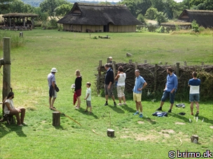 Miniature af billede nummer 3483