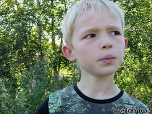 Miniature af billede nummer 3484