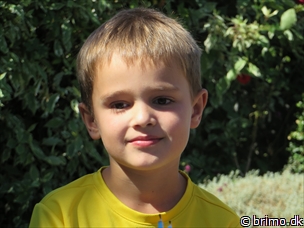 Miniature af billede nummer 3488