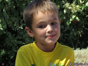 Miniature af billede nummer 3489