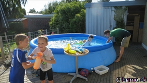 Miniature af billede nummer 3498