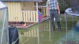 Miniature af billede nummer 3520