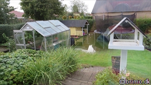 Miniature af billede nummer 3521